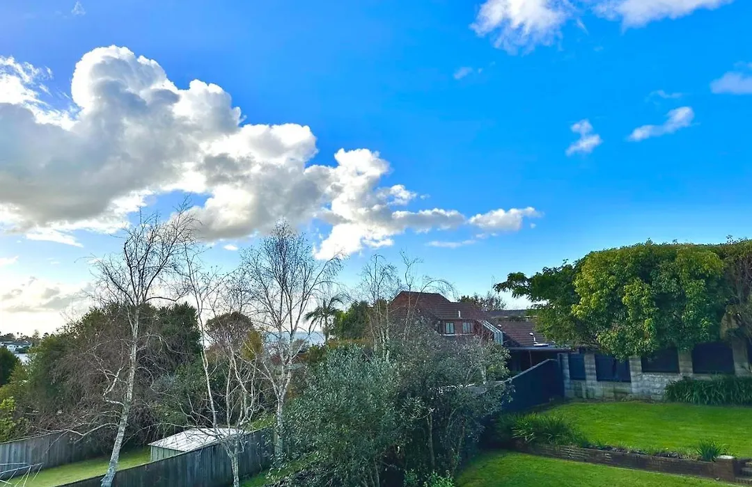 Elegant House In East Auckland-1