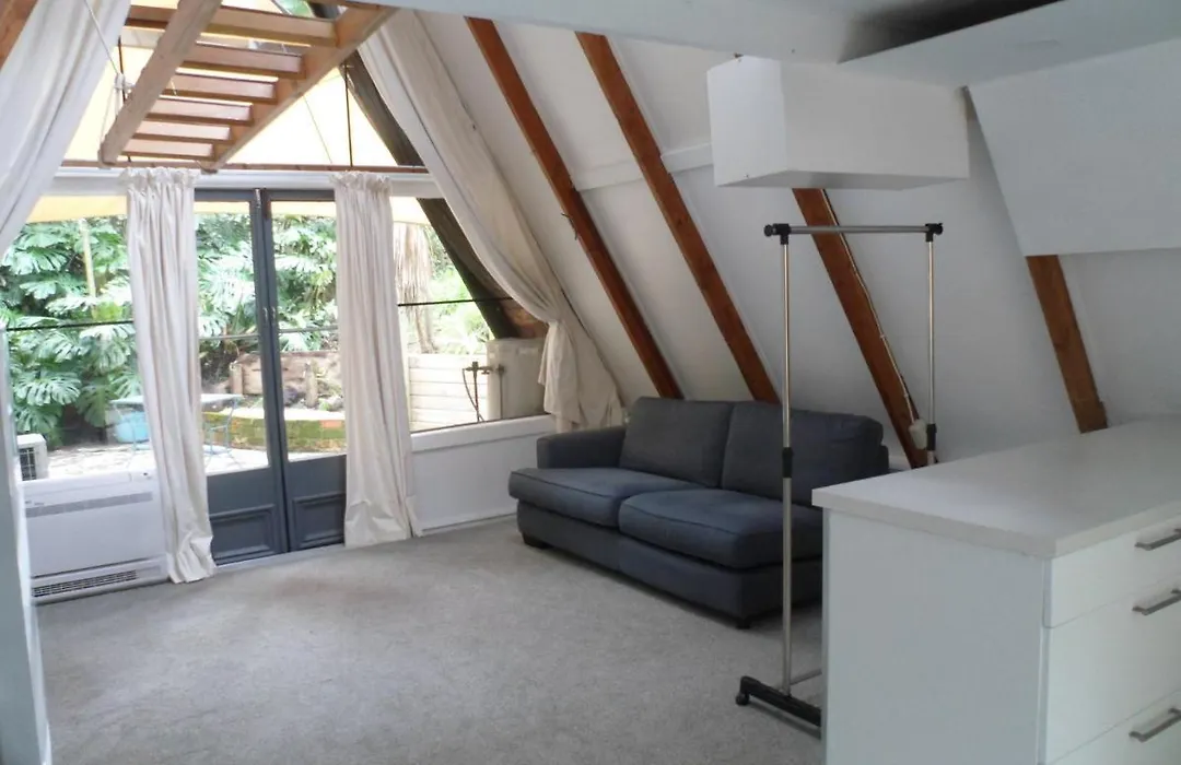 A-Frame Studio In Parnell-1
