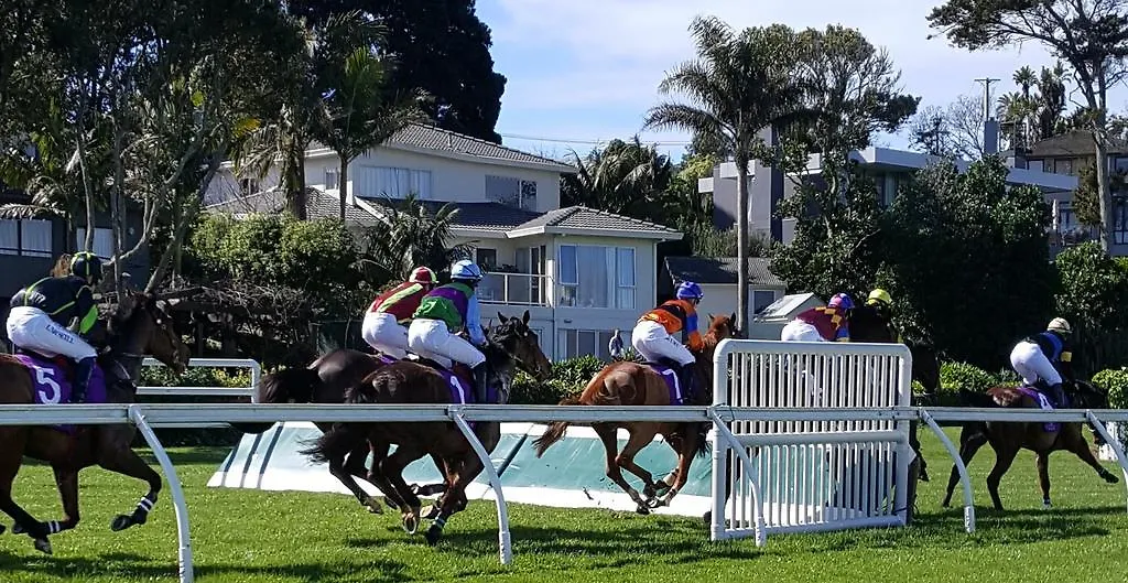 Racecourse Deluxe-1