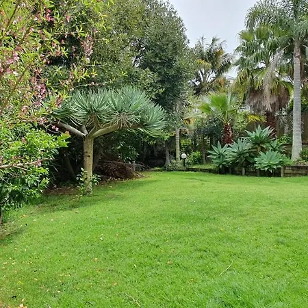 Wild Palms Awesome Living-2