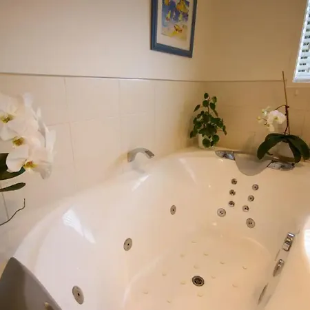 Bright 2 Bedroom Home In East Auckland-3
