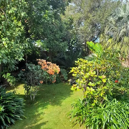 Tiko'S Place-3