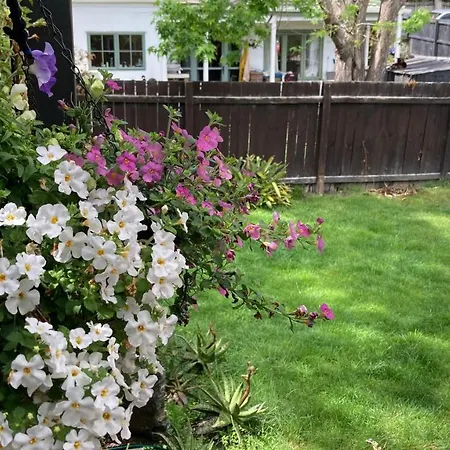 Shared Home In Albany-3
