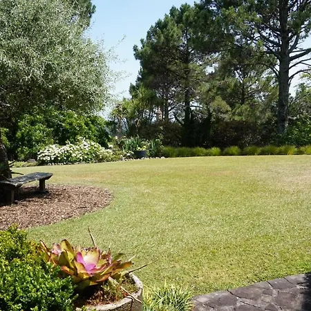 Maddisons Garden Guest Suite - Coatesville-2