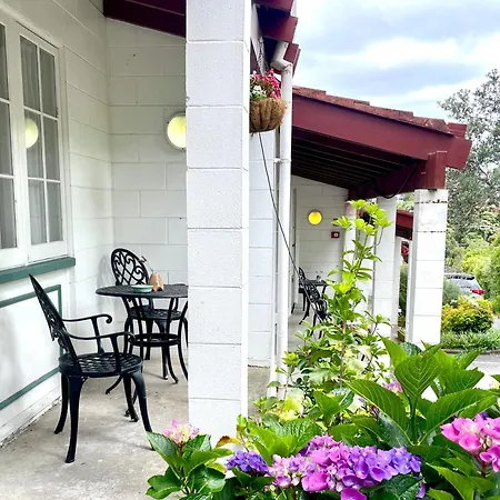 Browns Bay Olive Tree - Pet Friendly Family Apartment-2
