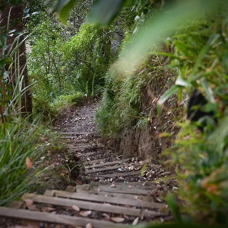 Auckland Clifftop-3