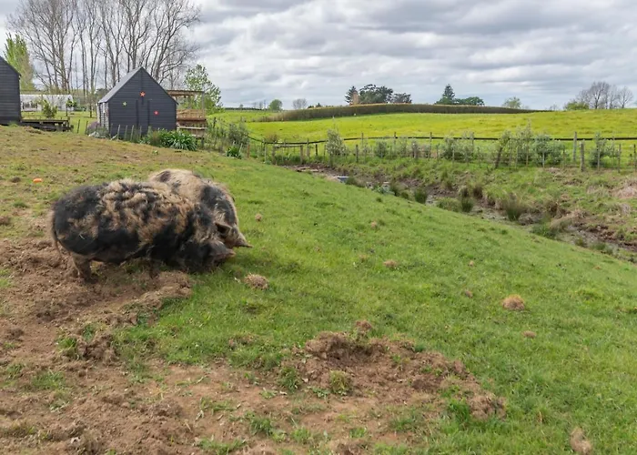 The Barn - Karaka Farm Stay Auckland acceptant les animaux