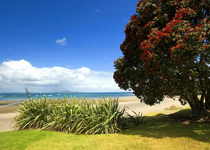 Condomini a Auckland